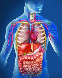 جسم الإنسان.. عالم غامض وحقائق مثيرة