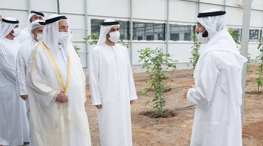 «الشارقة لإدارة الأصول» و«التعاونية» توقعان مذكرة تعاون