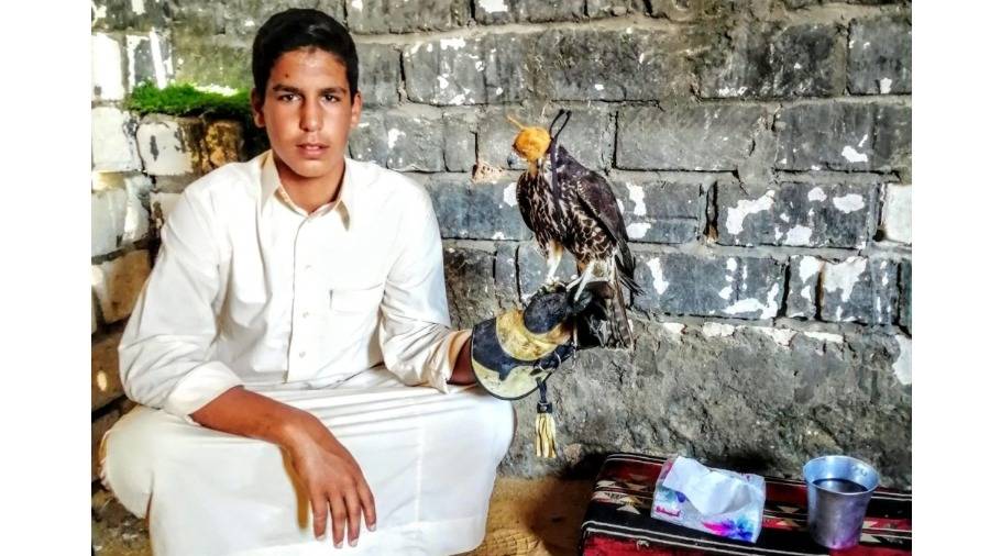 مأساة صائدي الصقور في مصر.. رحلة برائحة الموت