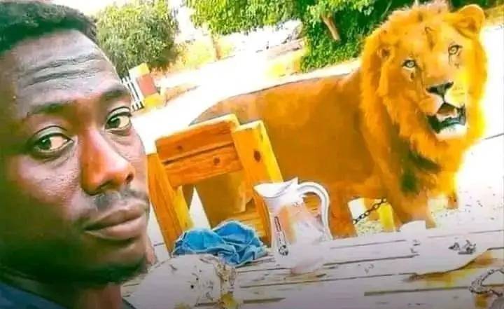 أسود تفترس عاملاً سودانياً في ليبيا