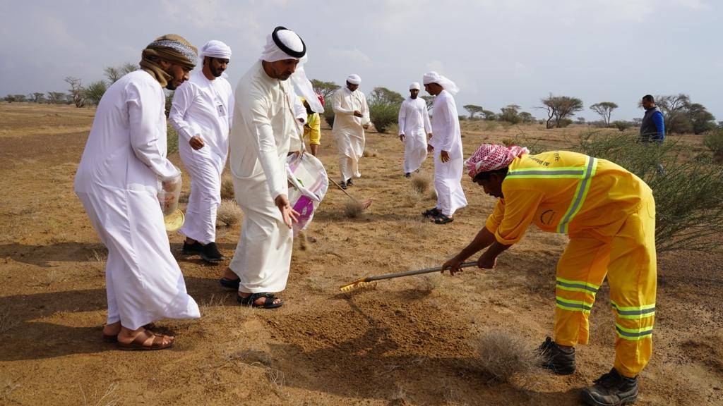 خلال نثر البذور