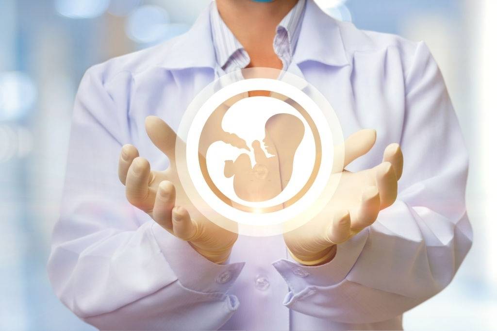 مواجهة العقم بخفض الكوليسترول
