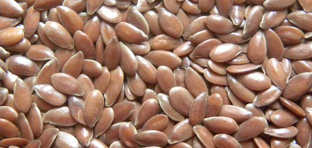 صورة بذر الكتان