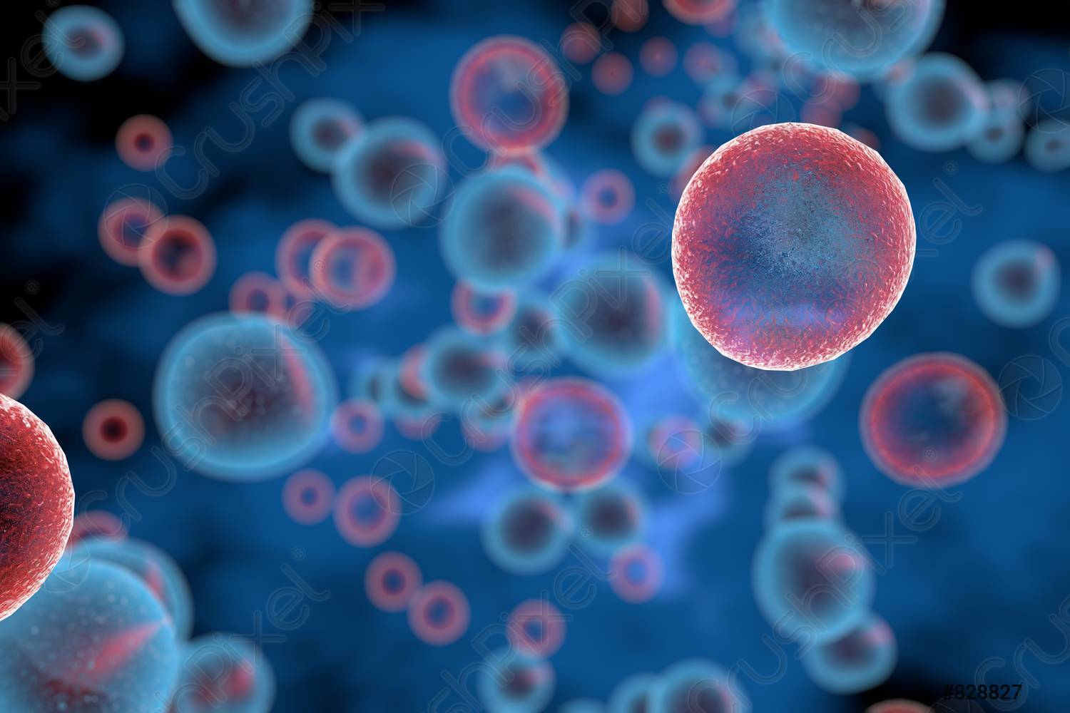 تقنية لإظهار الخلايا النادرة