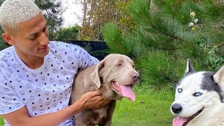 ريتشارليسون في ورطة بسبب كلبيه