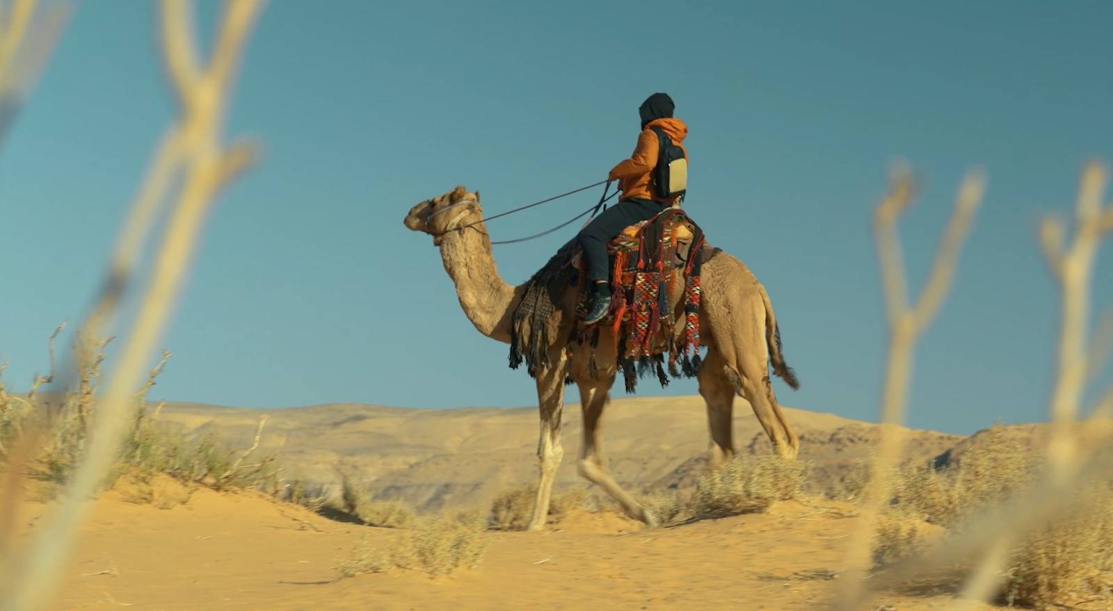 «قلبي اطمأن» يختتم الموسم السادس بقفزة إنسانية ناجحة