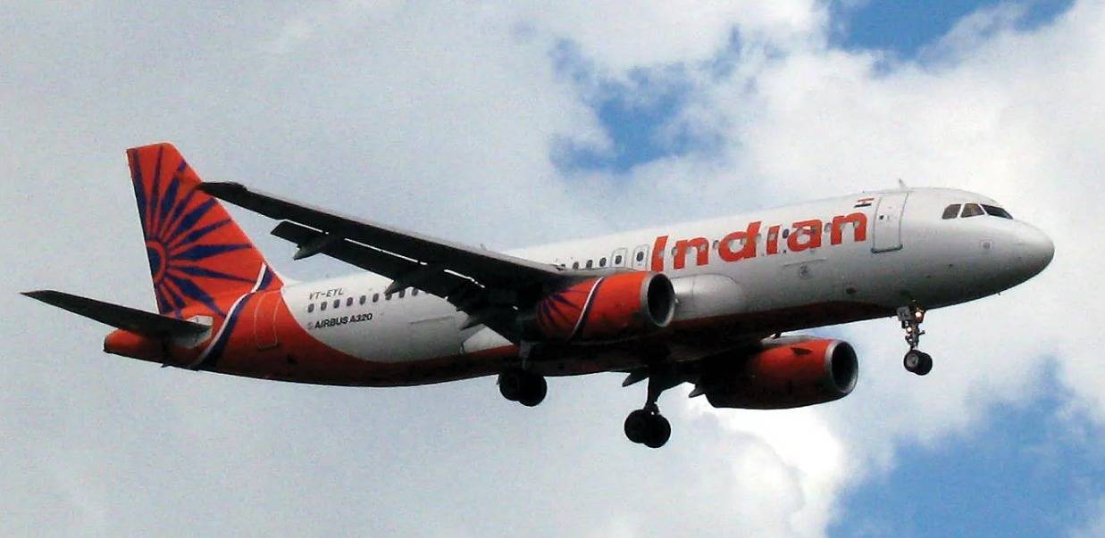 الهند.. عقرب يلدغ سيدة على متن طائرة