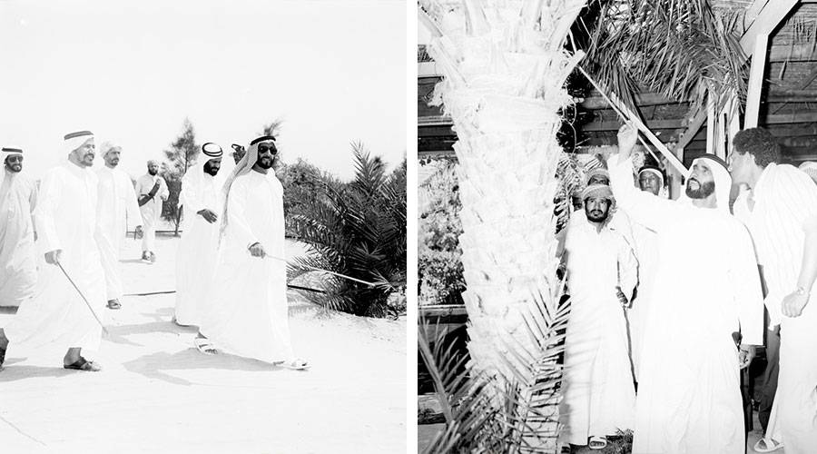 الشيخ زايد طيب الله ثراه أولى البيئة جل الاهتمام منذ بدايات قيام دولة الإمارات 