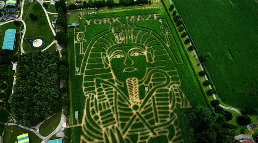 متاهة ذرة عملاقة.. بريطاني يحتفل بمئوية اكتشاف مقبرة توت عنخ آمون