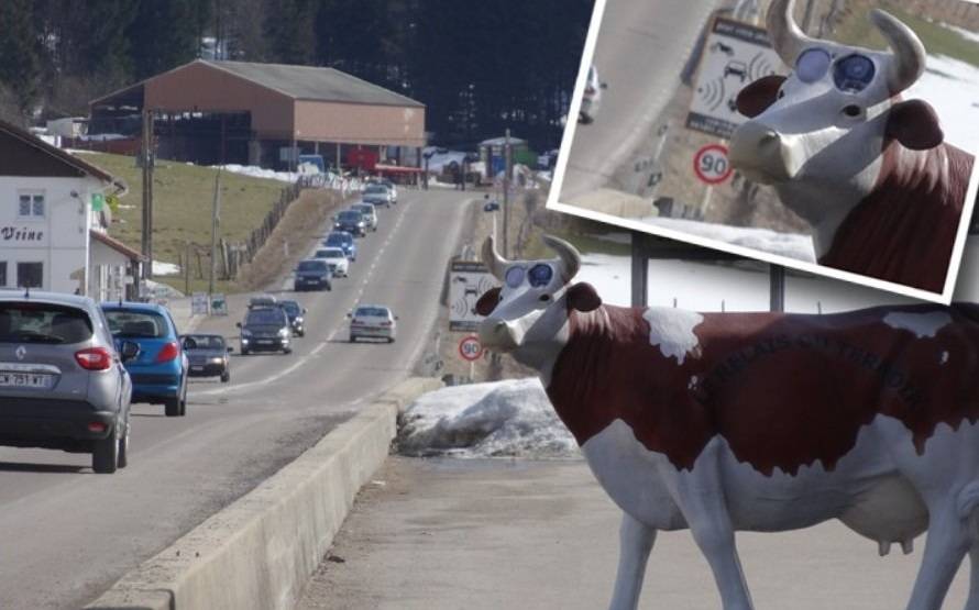 ما حقيقة «البقرة الرادار» في سويسرا