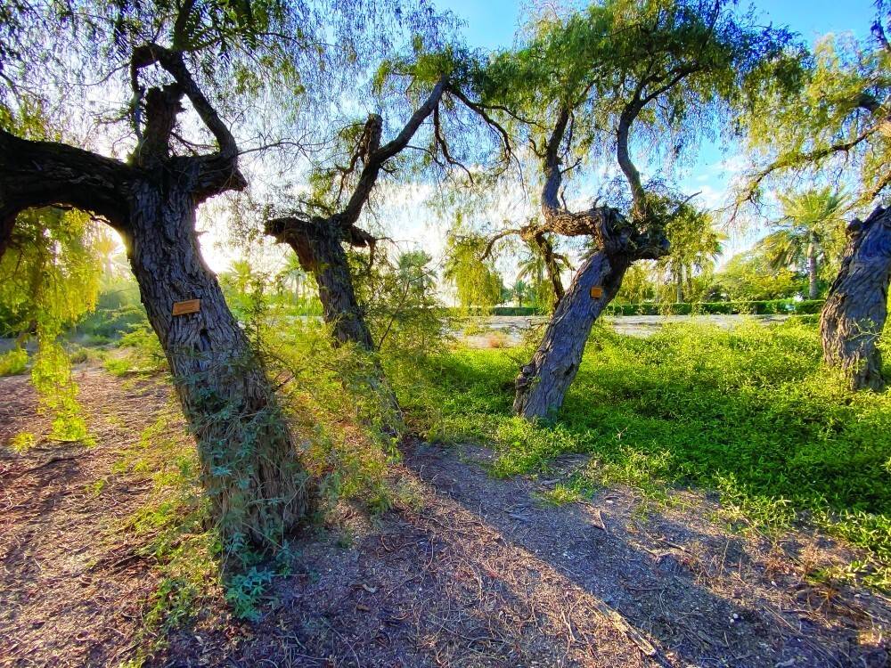 الدول النامية تقترح تمويلاً لأضرار المناخ بحد أدنى 100 مليار دولار