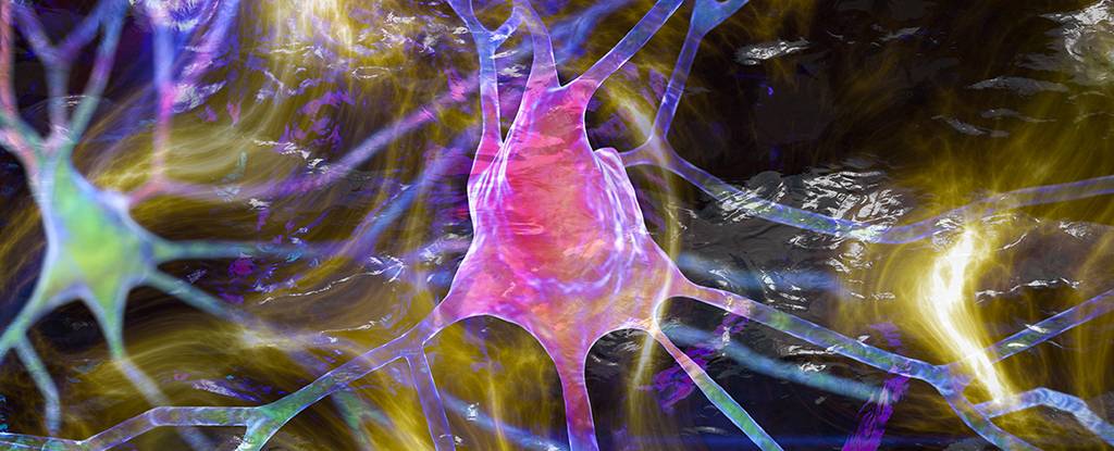 الوصلات العصبية