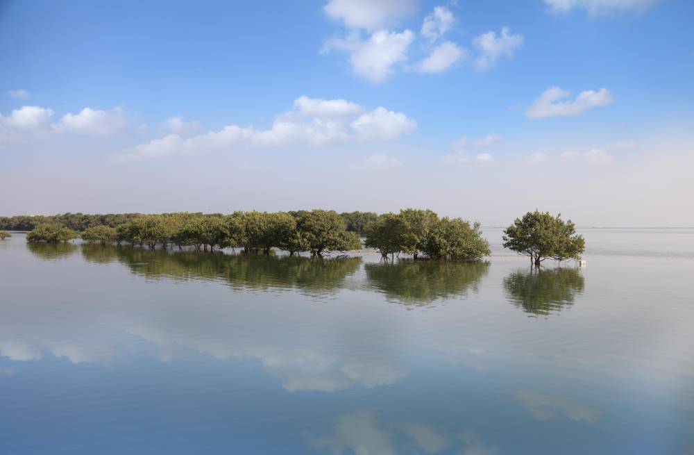 محمية طبيعية في الدولة