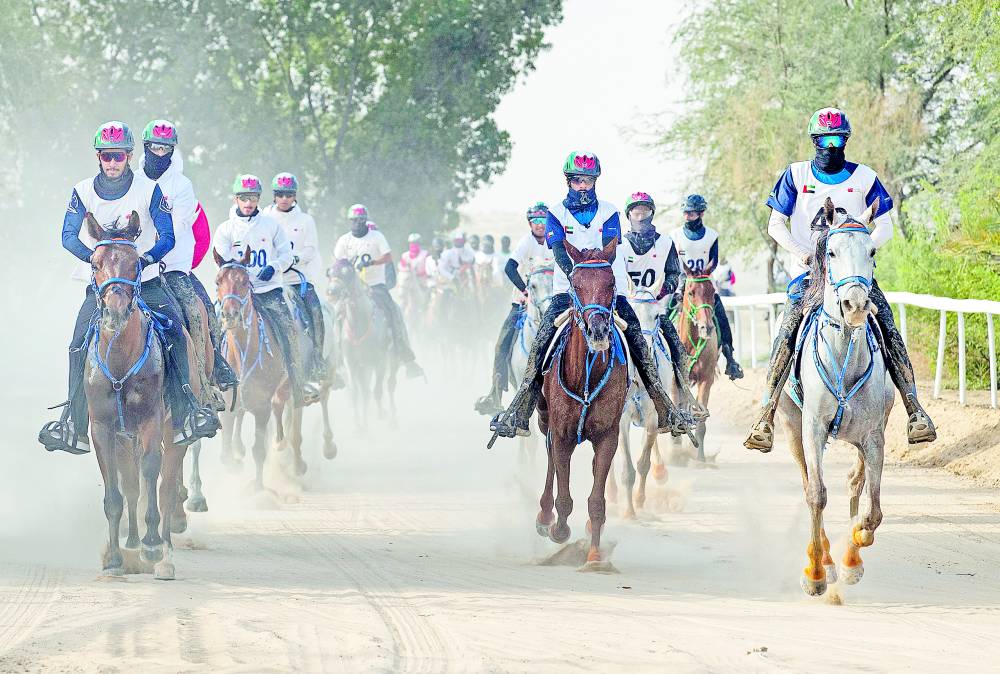 من النسخة السابقة لتحدي سيح السلم للقدرة 
