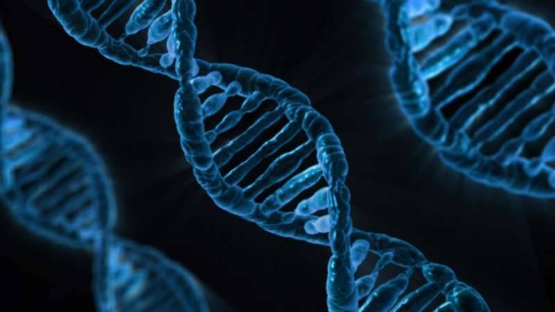 9-gene
