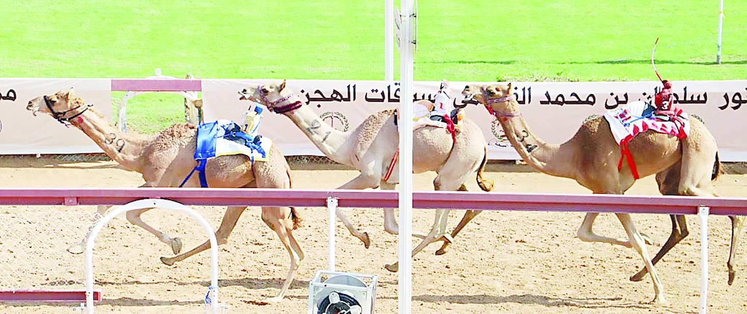 منافسة قوية قبل الوصول إلى خط النهاية