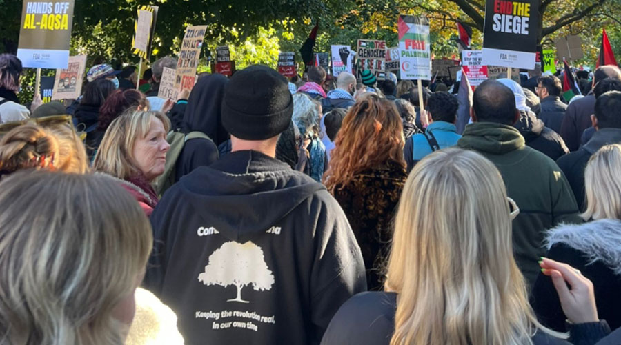 مئات الآلاف يشاركون في مسيرة مؤيدة للفلسطينيين وسط لندن