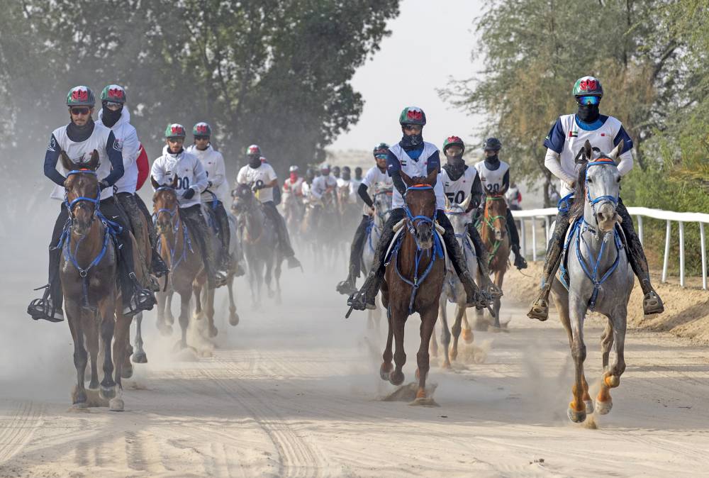 تحدي سيح السلم للقدرة صلاح عمر