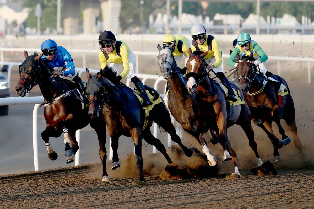 سباق جبل علي للخيول تصوير: (( هيثم الخاتم ))