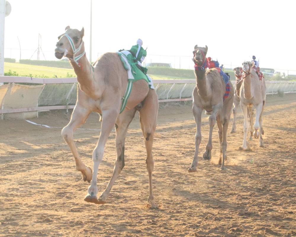 من منافسات السباق