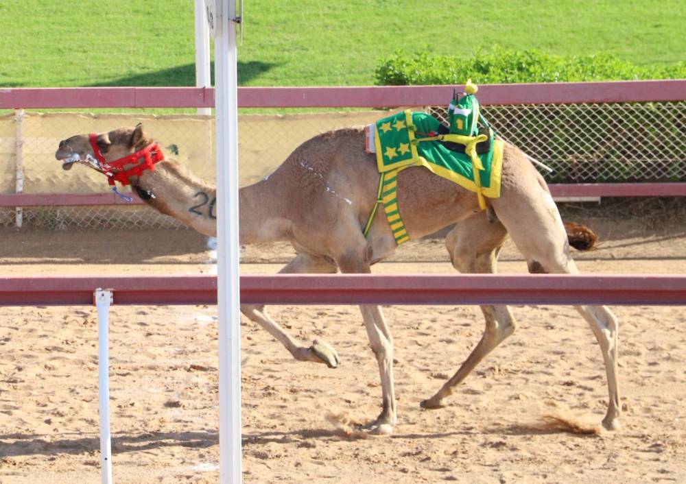 من منافسات السباق