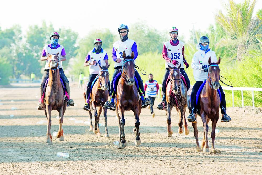 فتح باب التسجيل لسباق يوم الشهيد للقدرة