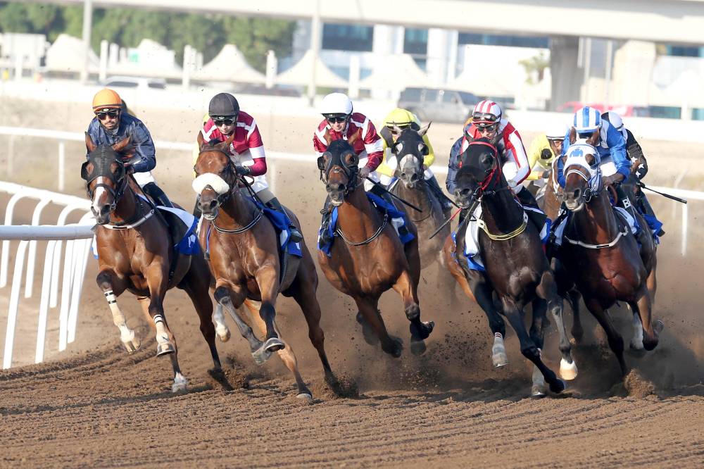 سباقات جبل علي على موعد دائم مع الإثارة (تصوير: هيثم الخاتم)