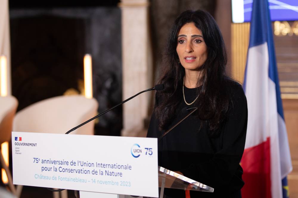 رزان خليفة المبارك، رئيسة الاتحاد الدولي لحفظ الطبيعة