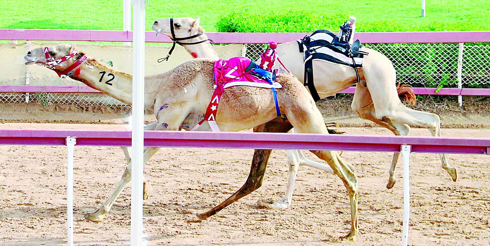 من منافسات السباق