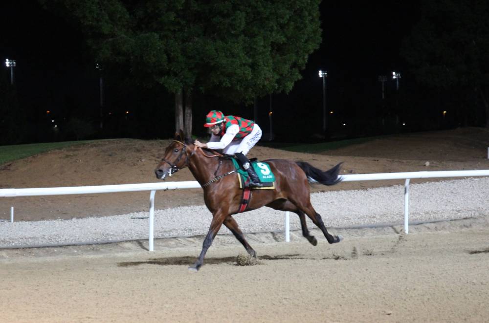 «ساري» في طريقه للفوز بالشوط الرابع