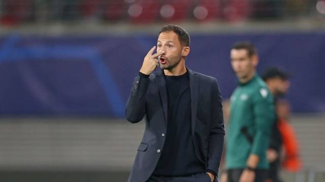 مدرب بلجيكا: الفوز ببطولة أوروبا أصعب من الفوز بكأس العالم