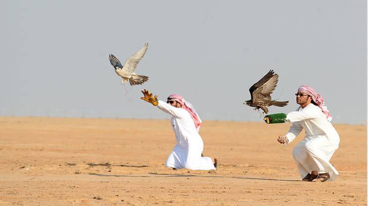  دبي تستضيف الملتقى الدولي الأول لرياضات وسباقات الصقور