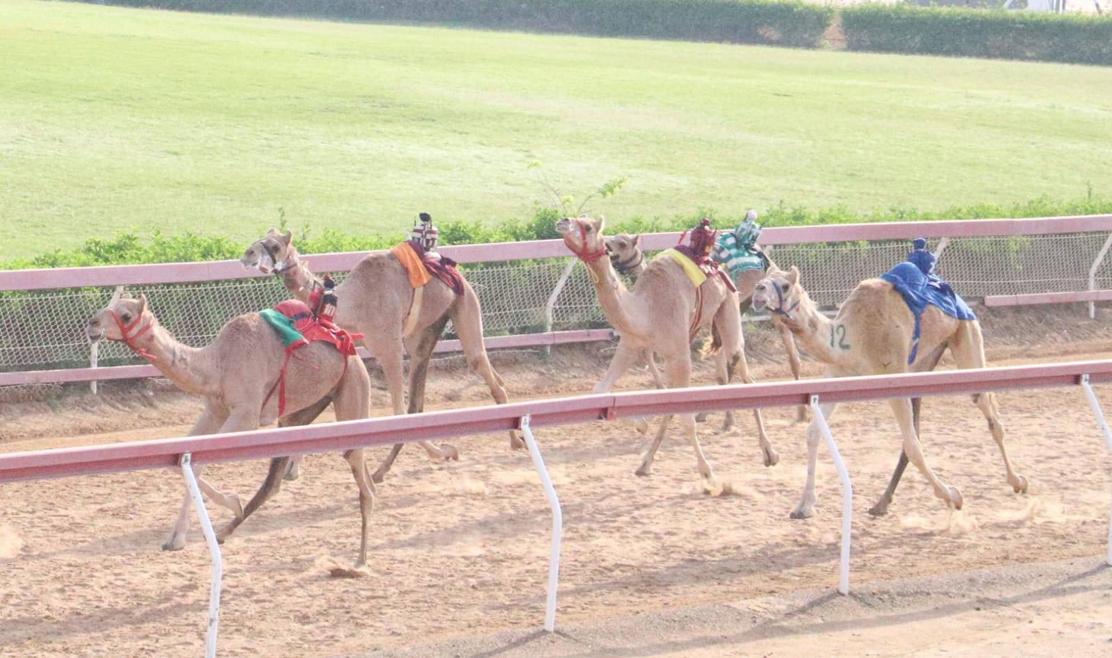 من منافسات السباق