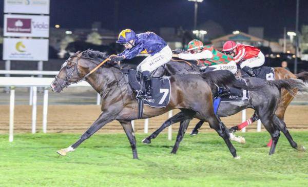 الملتقى العالمي للخيول العربية ينطلق الثلاثاء في أبوظبي