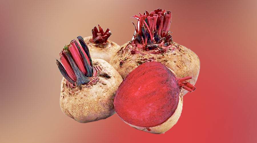 الشمندر يخفض خطر الإصابة بالسرطان
