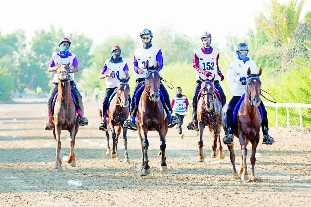 خلال منافسات سابقة في مدينة دبي الدولية للقدرة 