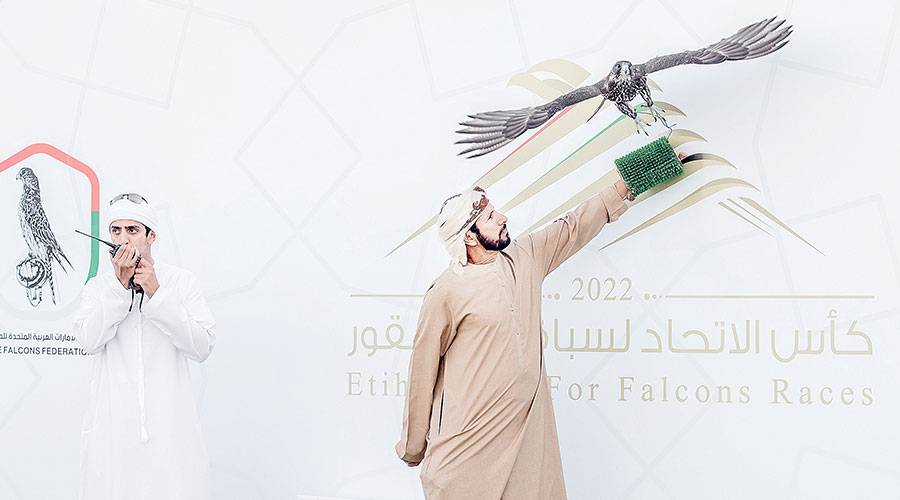 خلال منافسات سابقة للصقور