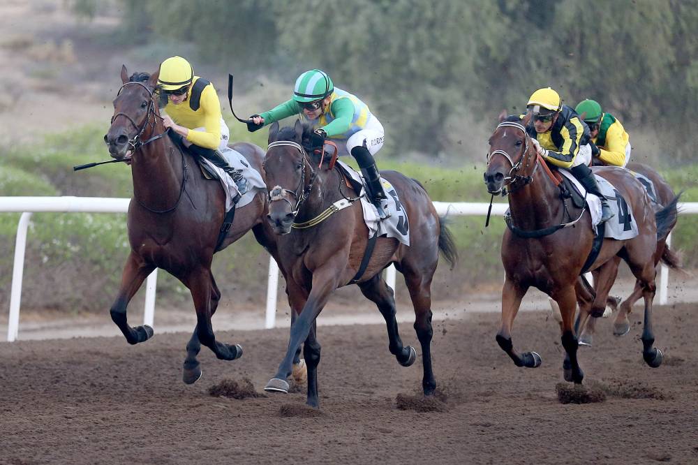 مضمار جبل علي  تصوير : (( هيثم الخاتم ))