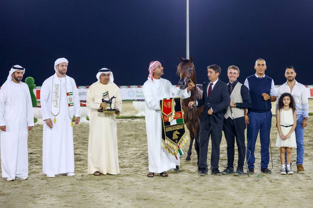 مربط دبي يتألق في مهرجان الشارقة كلباء للجواد العربي