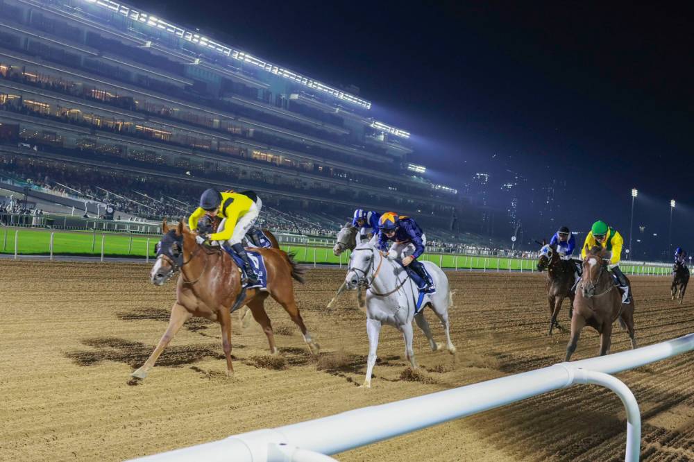 مضمار ميدان يستضيف سباقات مثيرة