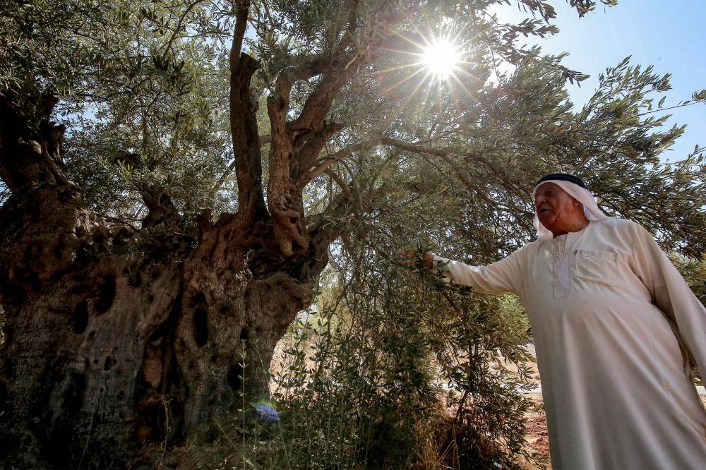 علي عطا (أ.ف.ب)