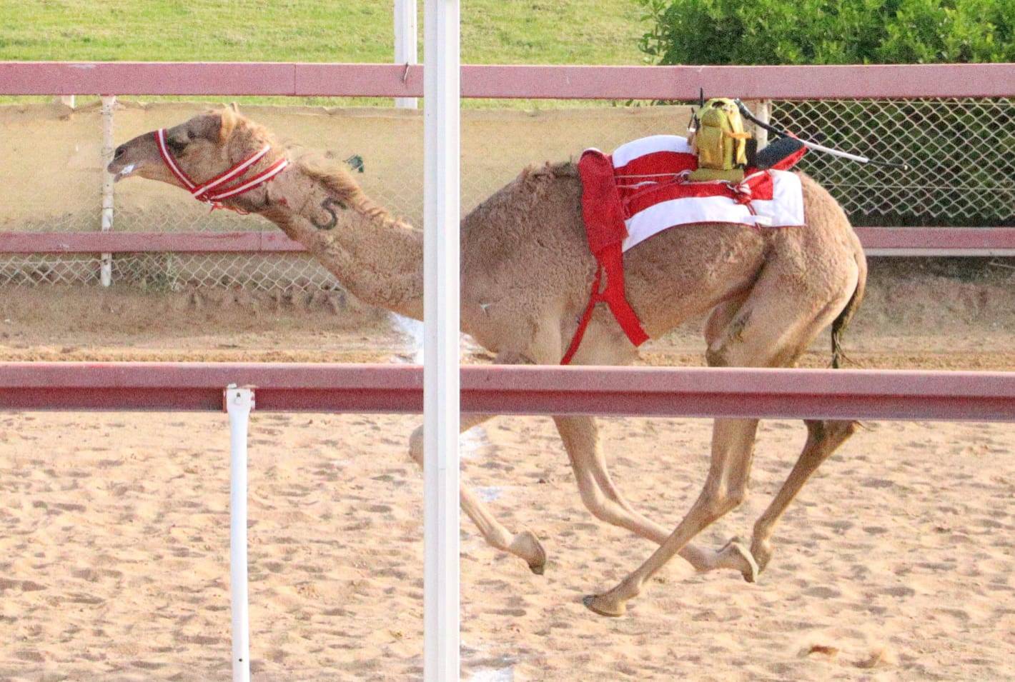 من منافسات السباق