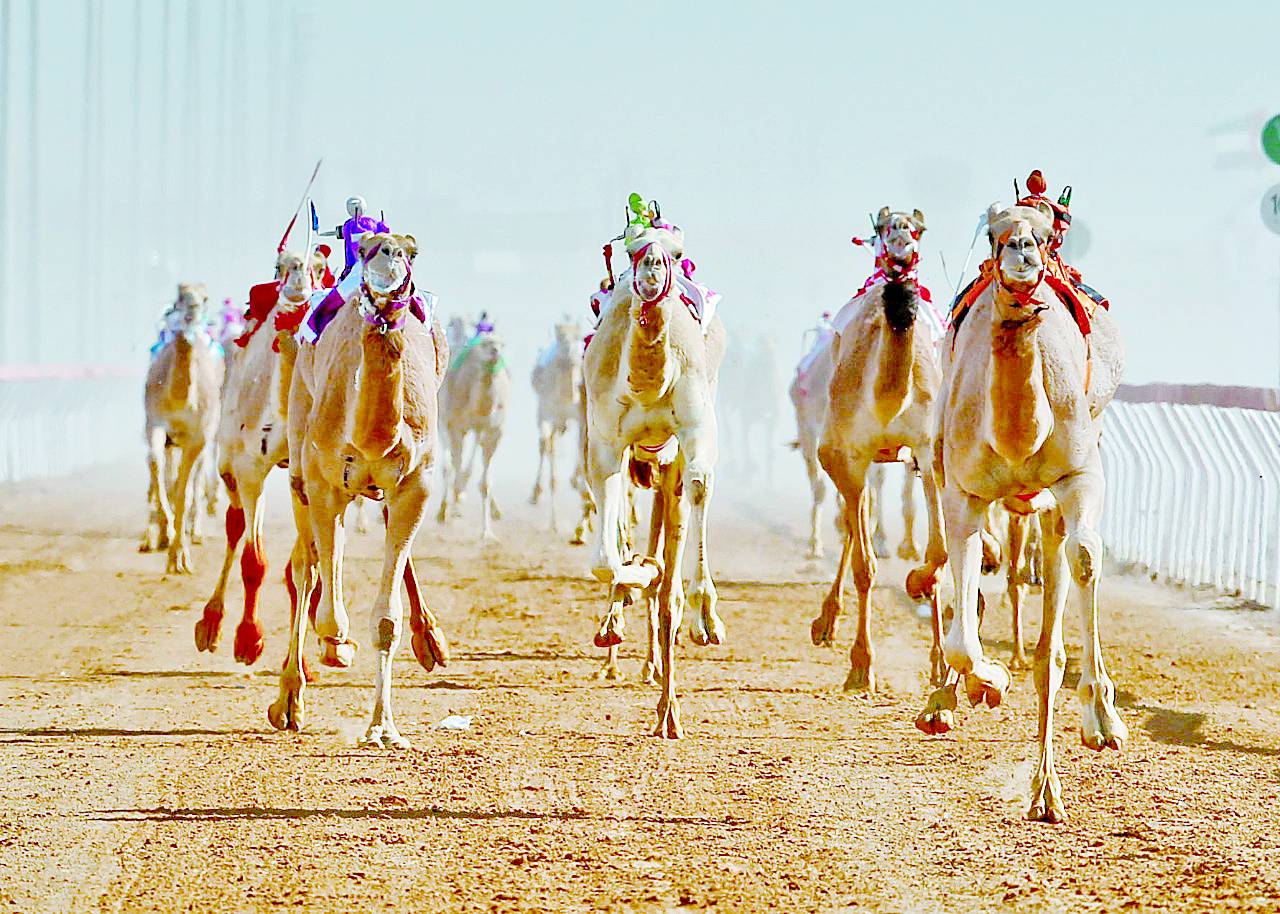 من منافسات سابقة