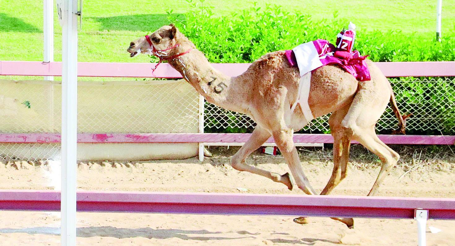 من منافسات السباق