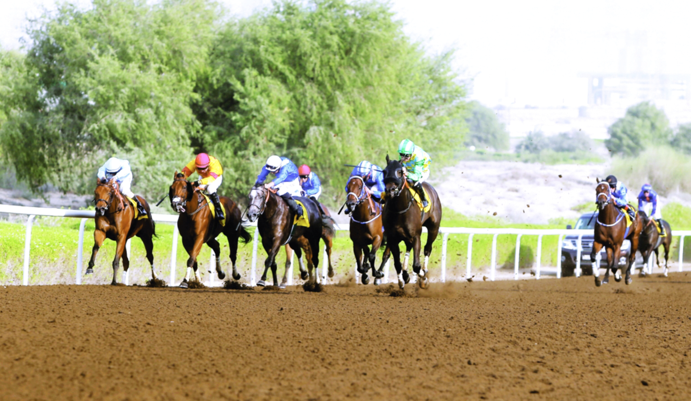 إثارة دائمة في سباقات مضمار جبل علي