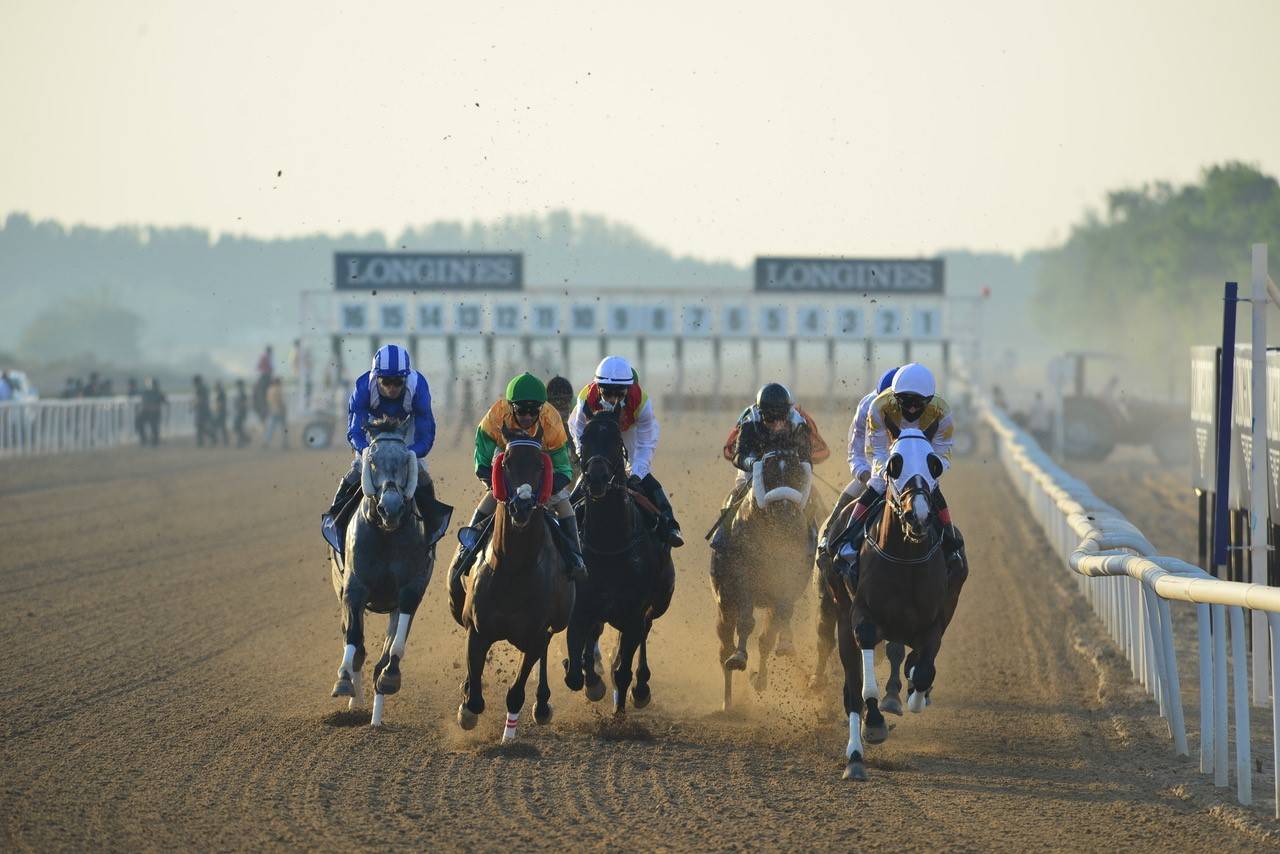 من منافسات سابقة في مضمار الشارقة
