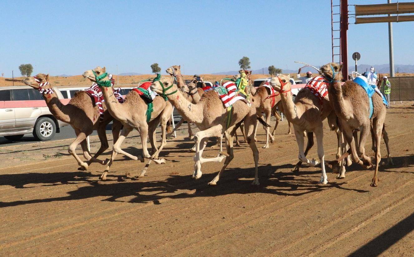 من منافسات السباق