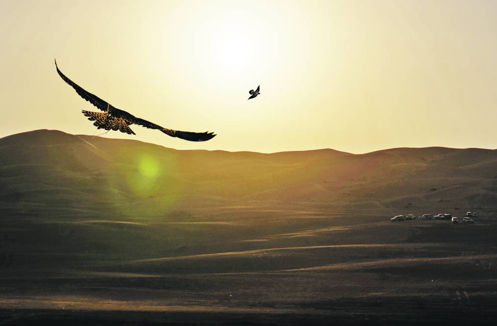 من منافسات مسابقة «هدد الحمام»