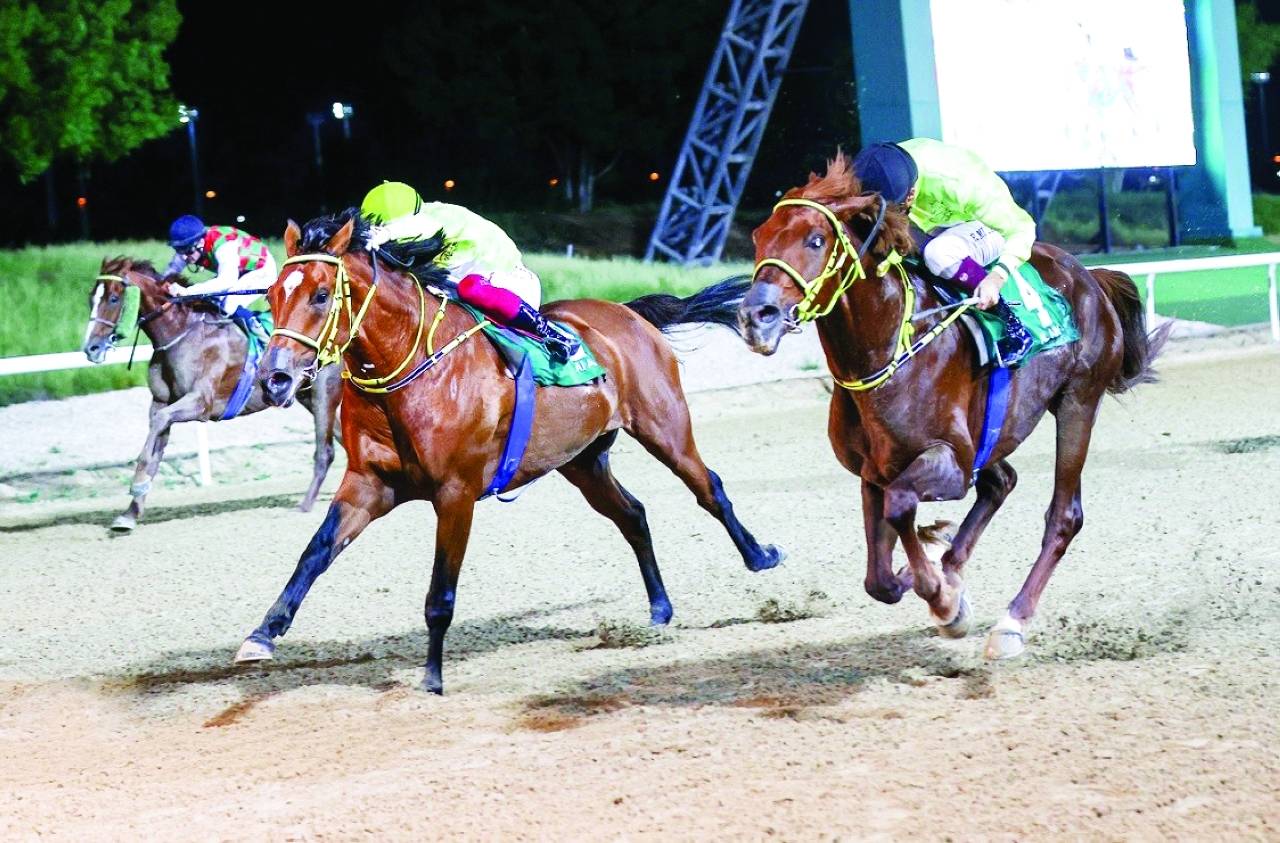 من منافسات سباقات مضمار العين