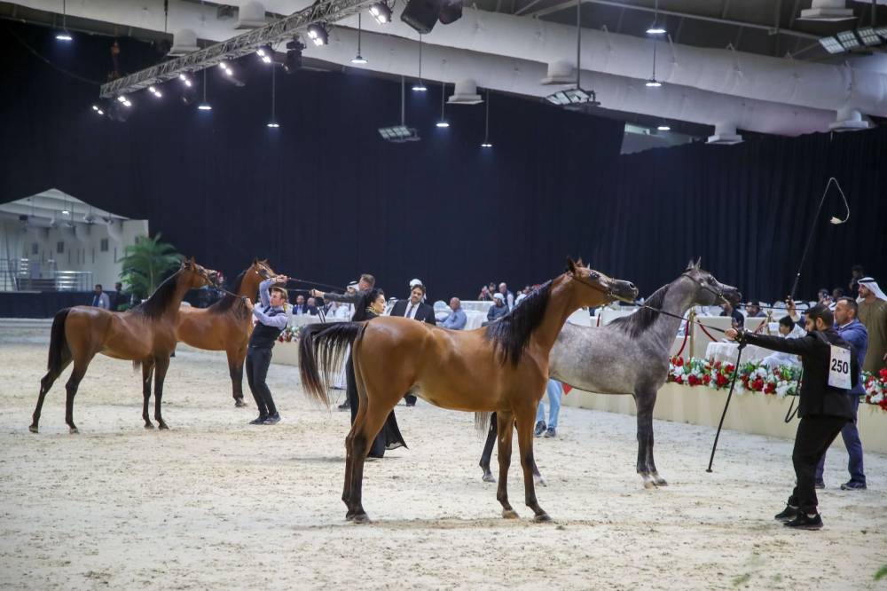 من منافسات البطولة